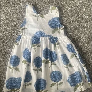 Pink Chicken River Dress Blue Hydrangeas